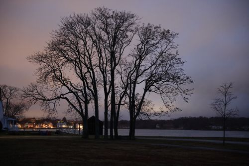 Free A serene silhouette of leafless trees by the water at twilight in Stamford, CT. Stock Photo