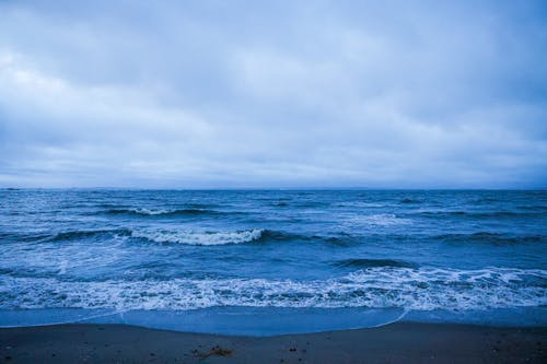 Základová fotografie zdarma na téma horizont, mávání, moře