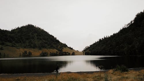 Person Walking Beside the Lake