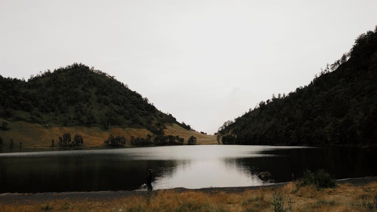 Person Walking Beside The Lake