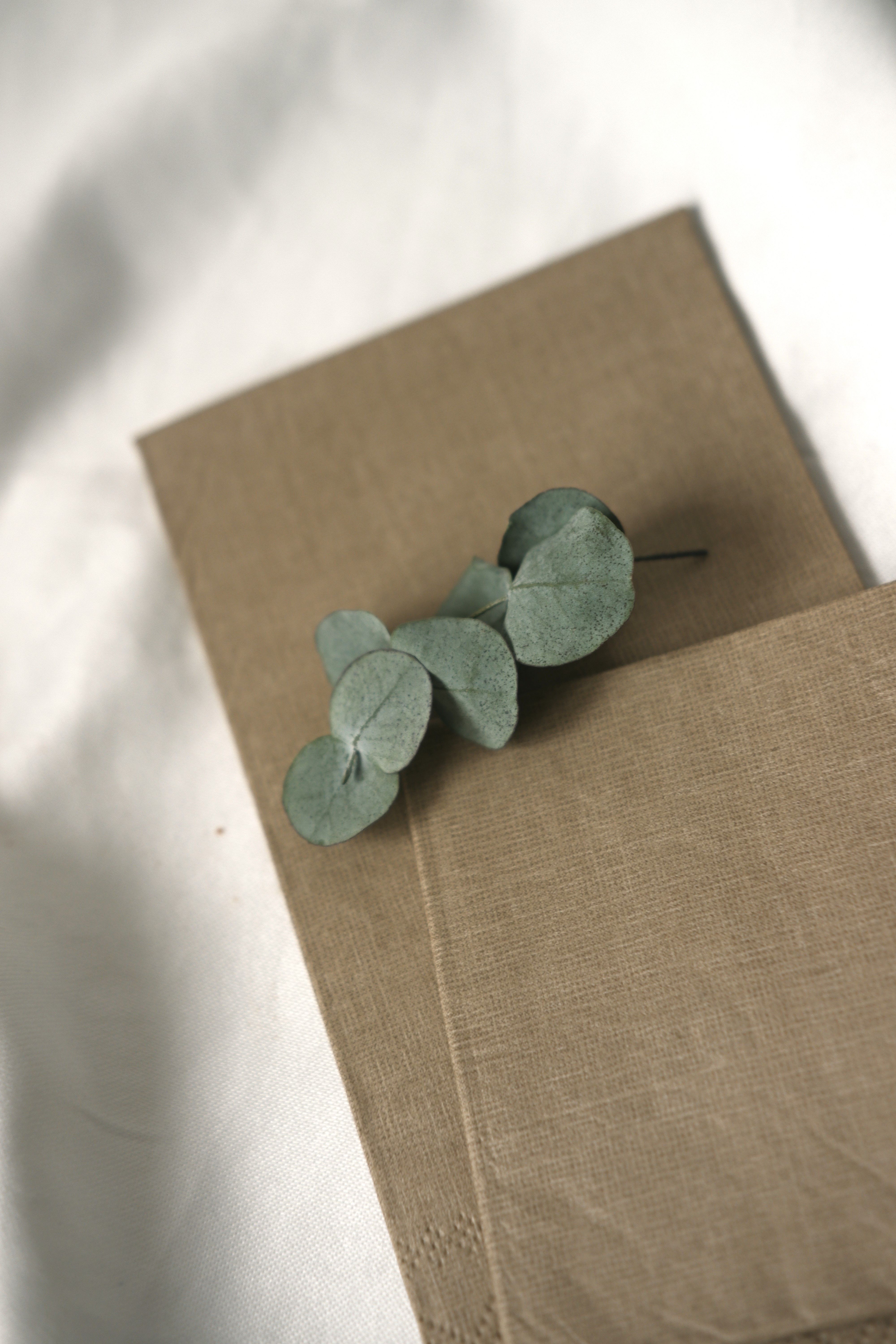 Eucalyptus leaves on textured linen — photo by Beyzaa Yurtkuran on Pexels