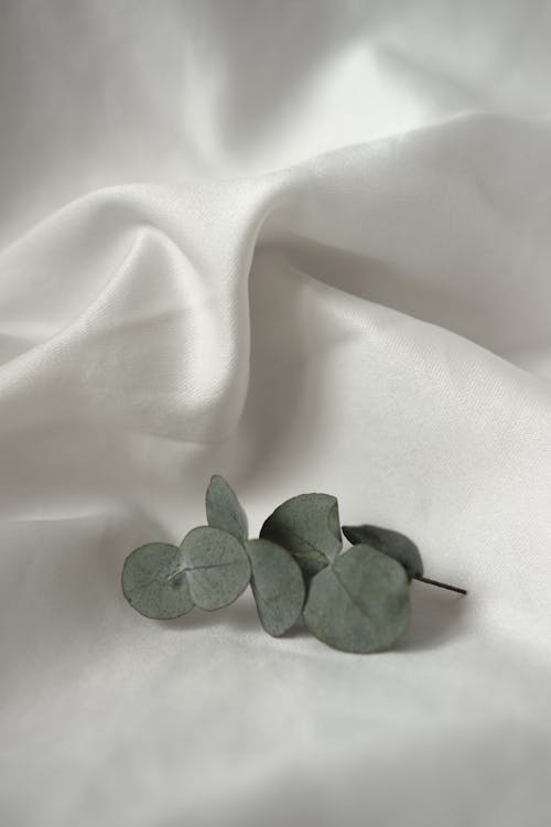 마른 나뭇잎, 수직 쐈어, 옷감의 무료 스톡 사진