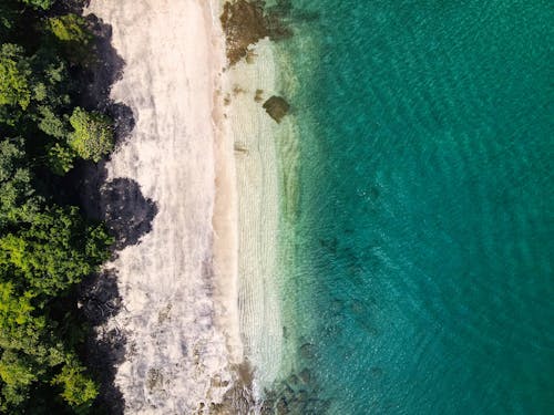 Free Aerial Photography of a Beach Stock Photo