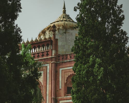 คลังภาพถ่ายฟรี ของ safdarjung tomb, ต้นไม้, ที่ผ่านมา