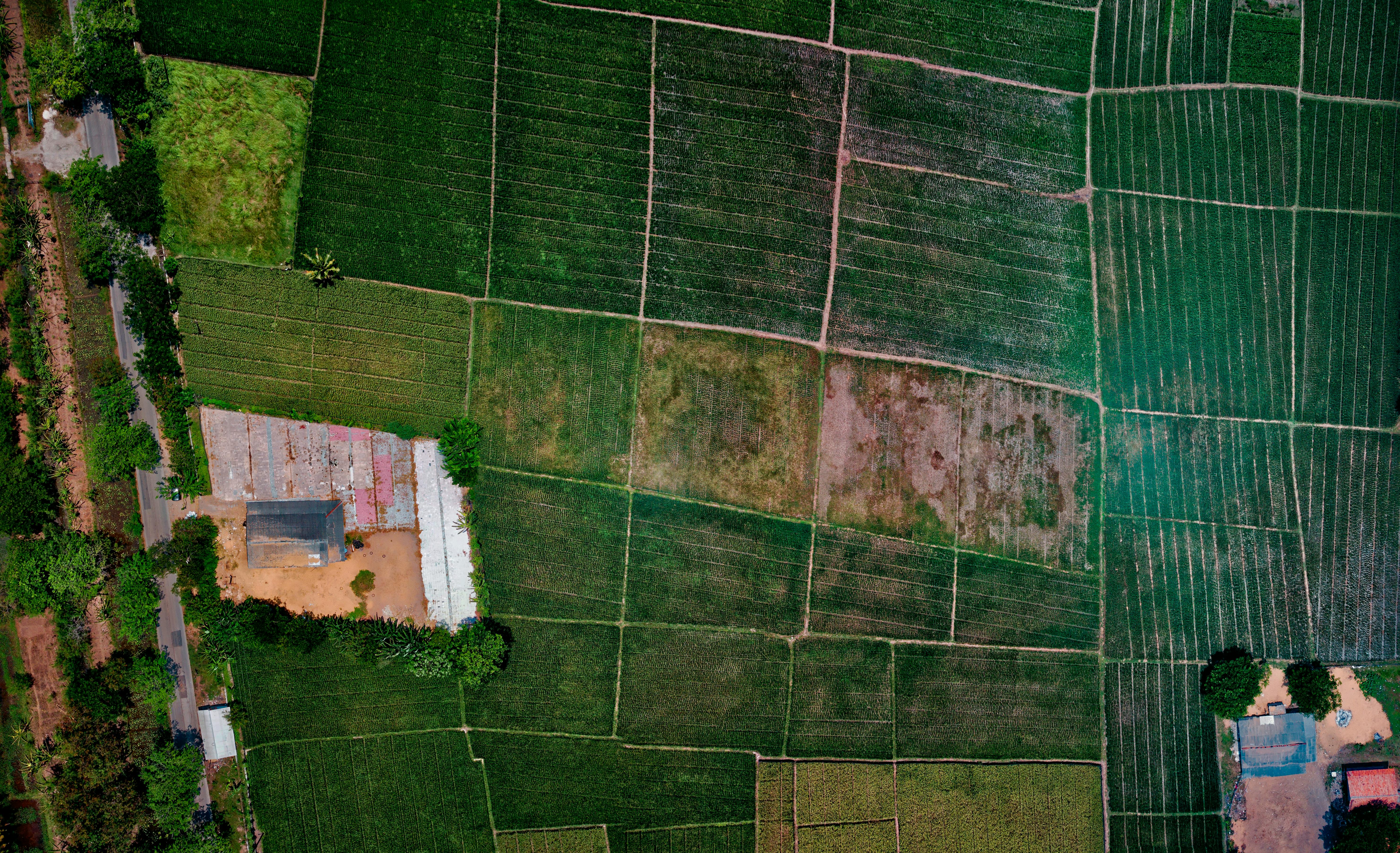 aerial view of fields