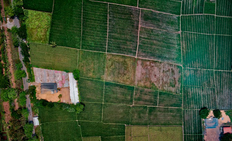 Aerial View Of Fields