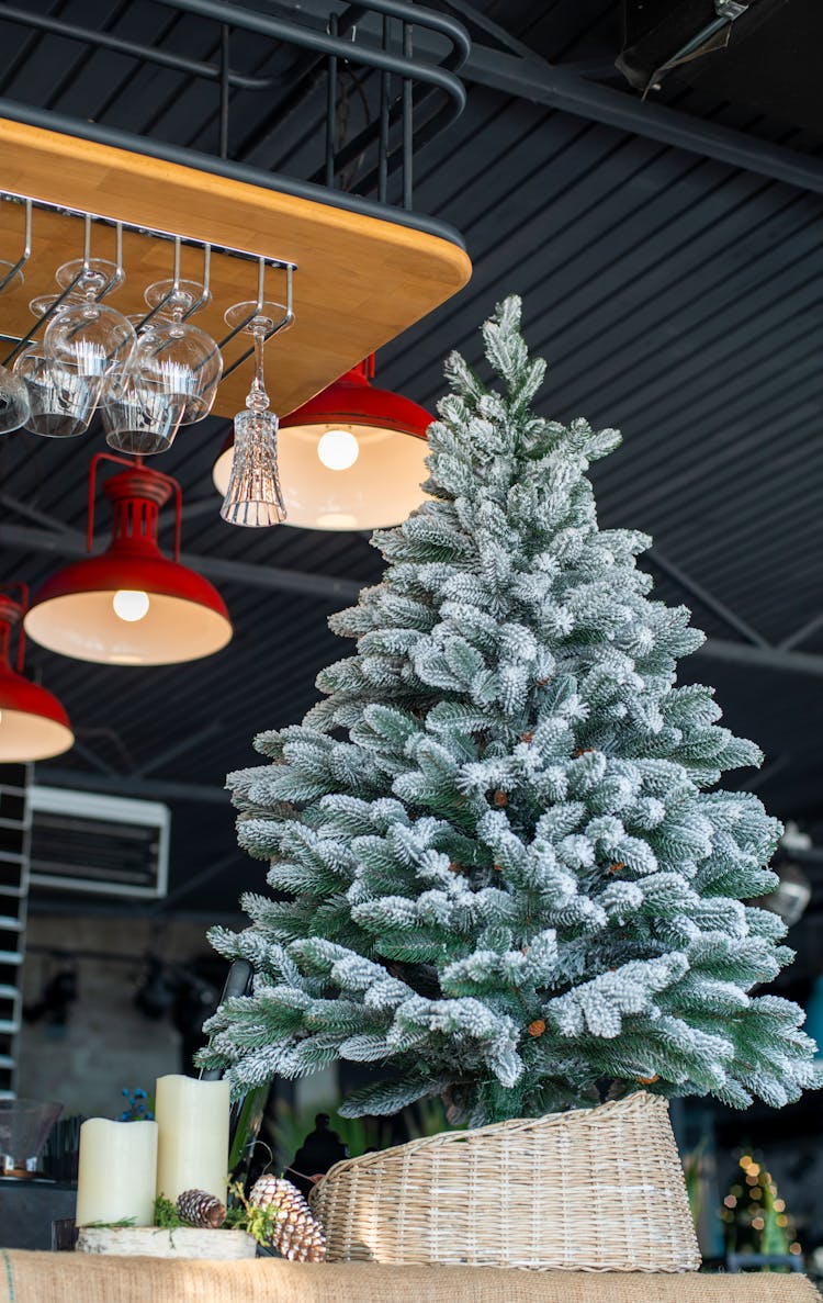 Christmas Tree In Bar