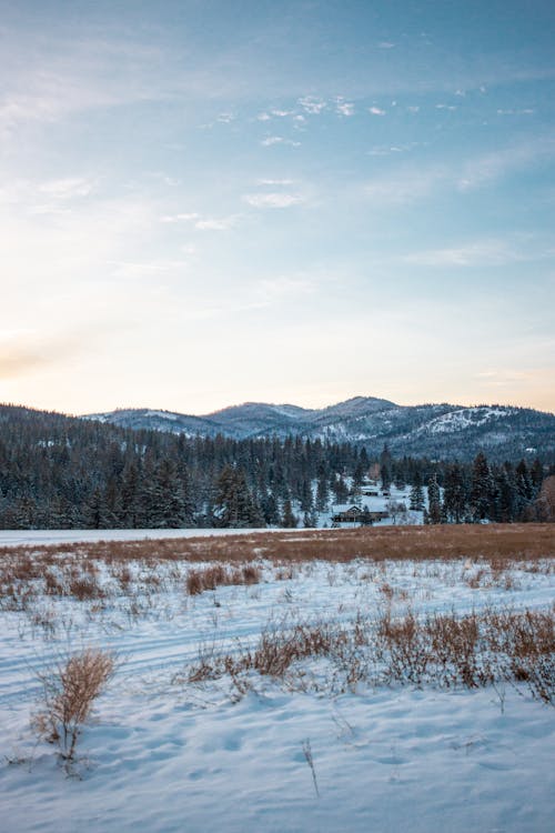 Countryside in Winter