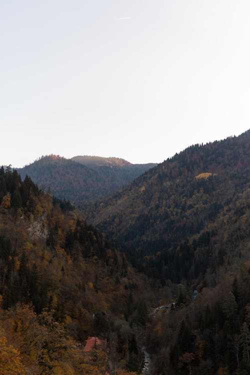 天性, 山, 景觀 的 免費圖庫相片