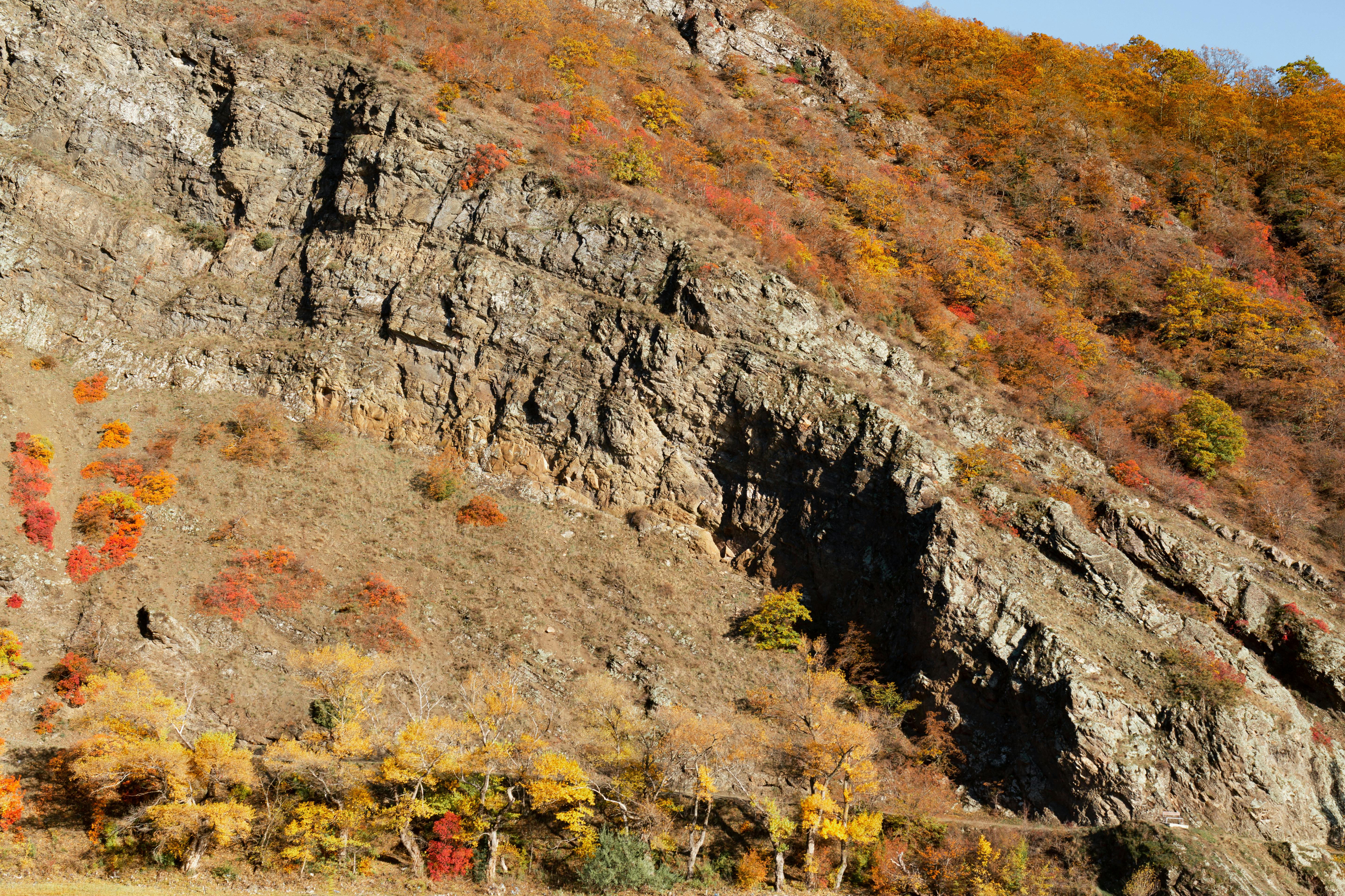 Photo by Vladimir  Gladkov