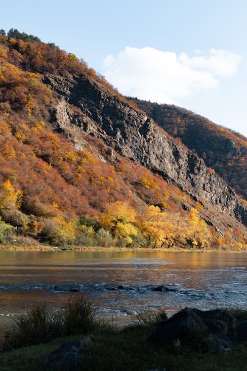 View of a Mountain Near the River 