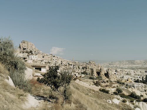 Immagine gratuita di alberi, arido, cappadocia