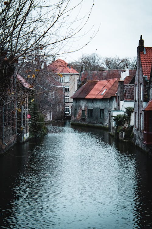 Canal in a Town of Bruges 