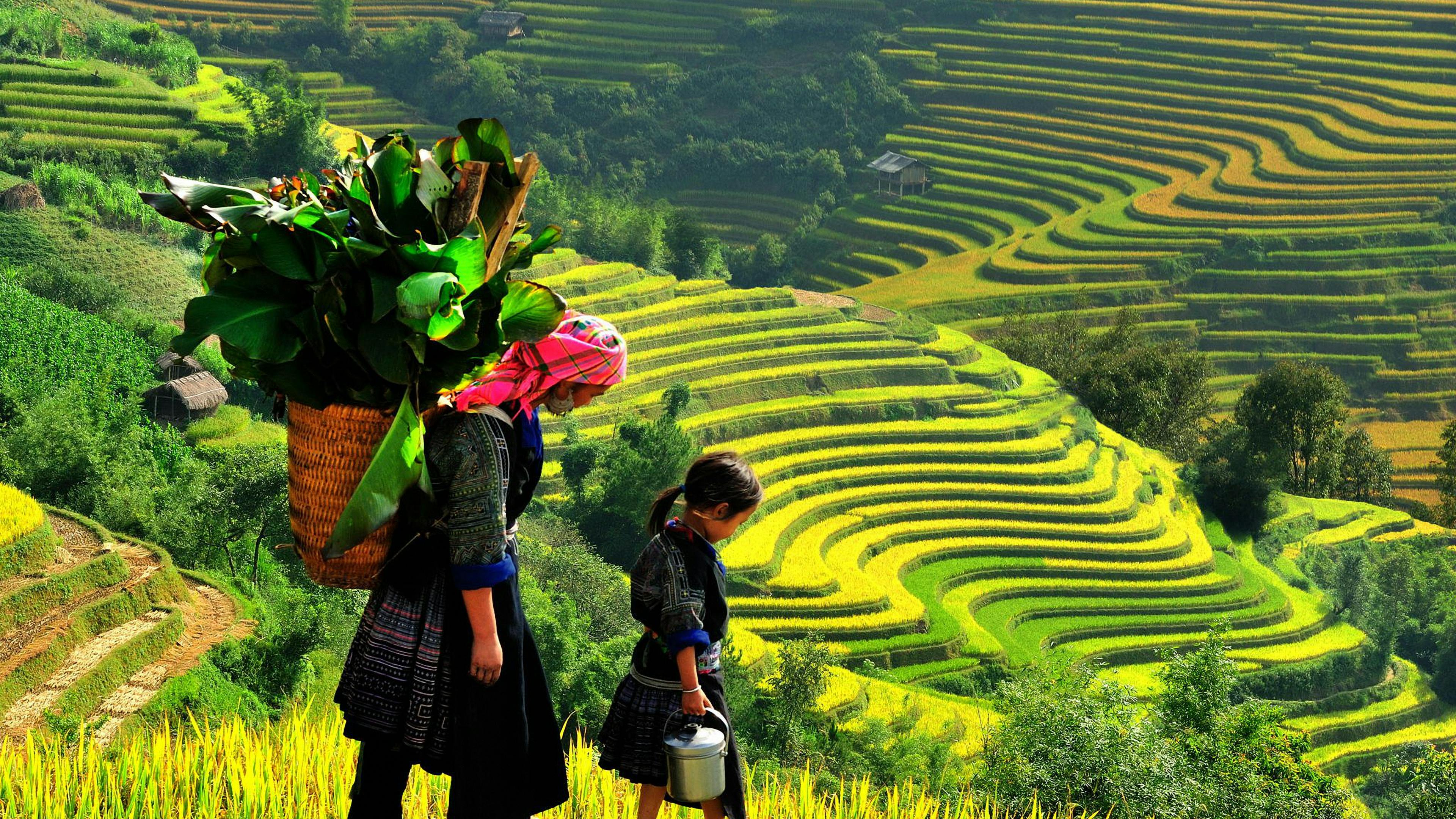 Woman and Girl Walking at Banaue Rice Terraces · Free Stock Photo