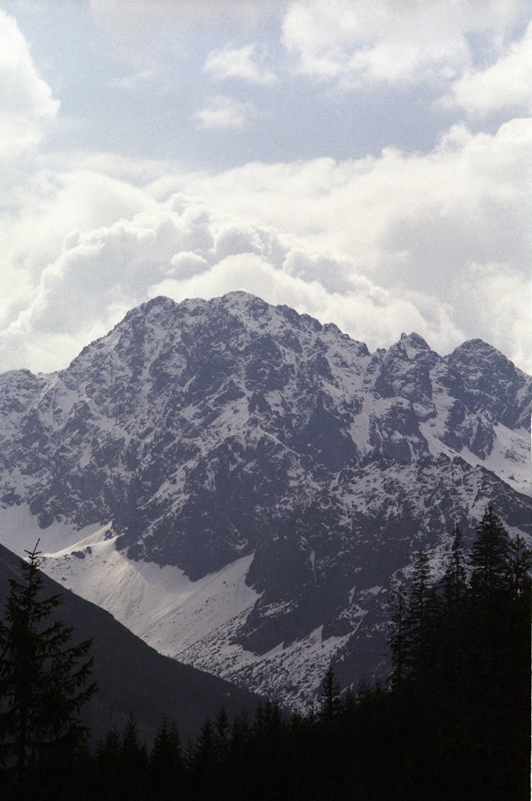 Scenic View Of Mountains And A Forest In Winter 