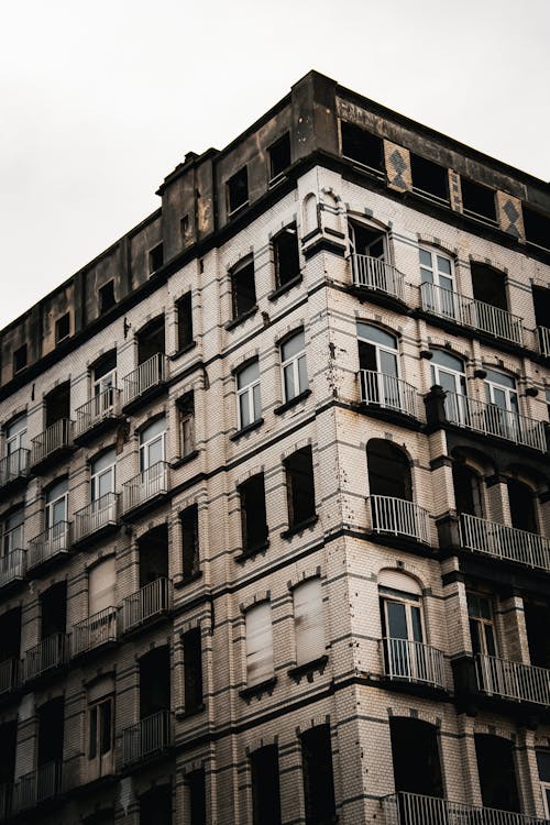 beyaz, bir başına, bozulmak içeren Ücretsiz stok fotoğraf