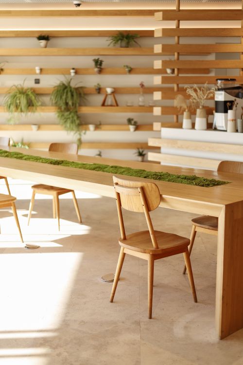 Free Warm interior of a cafe with wooden chairs, table, and greenery decor. Stock Photo