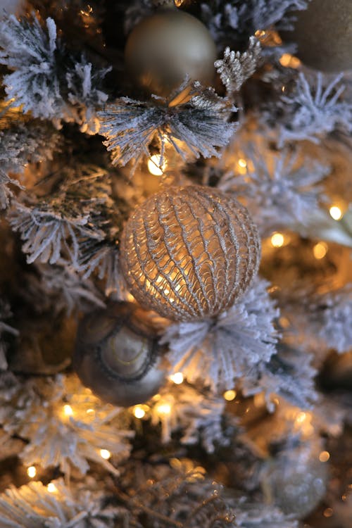 Close-up of a Bauble on a Christmas Tree
