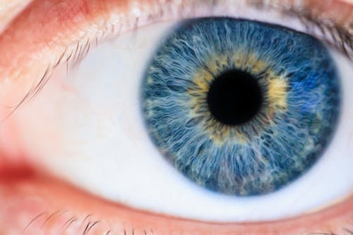 Gratis arkivbilde med blå øyne, iris, makro Arkivbilde