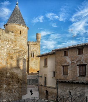 Vertical shot of Olite Castle against a clear blue sky in Navarra, Spain, showcasing its historic architecture.