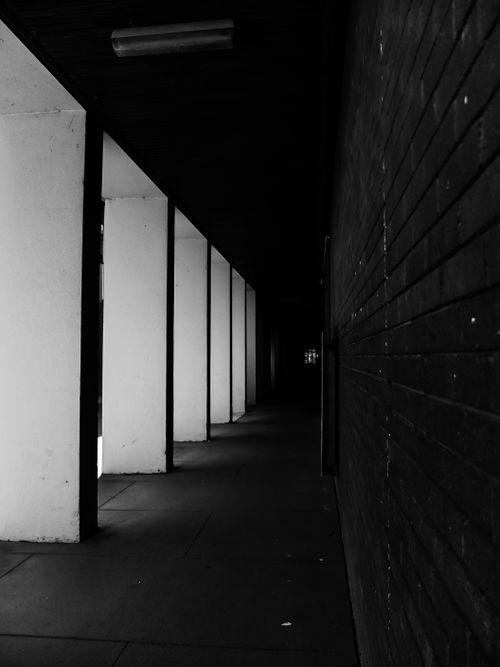 Free Dark corridor with vertical columns and brick wall in dramatic black and white tones. Stock Photo