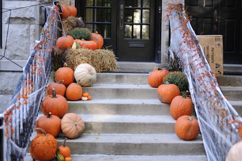 Pumpkin Display