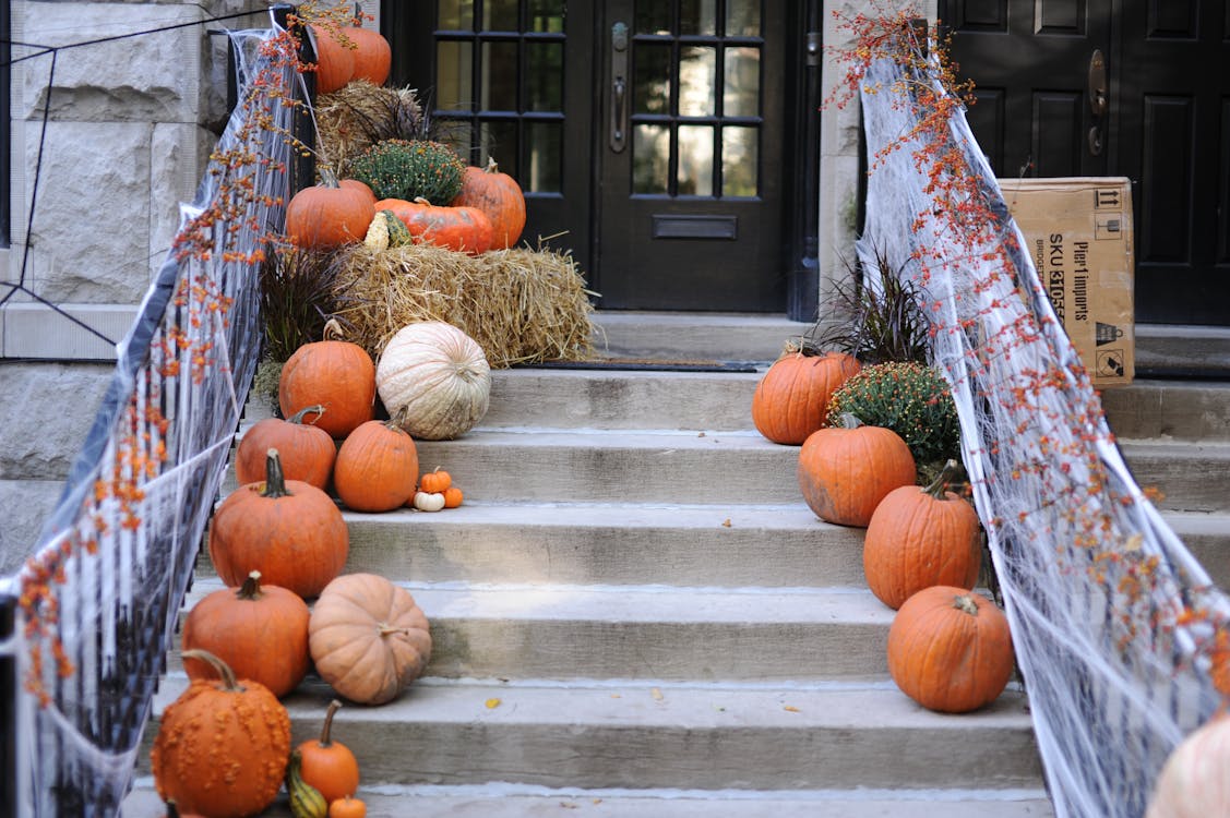 Free Pumpkin Display Stock Photo