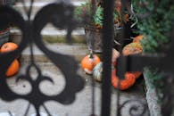 乡村秋景中，南瓜和盆栽植物点缀在装饰性铁栅栏后的台阶旁