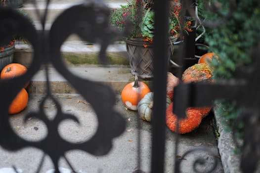 乡村秋景中，南瓜和盆栽植物点缀在装饰性铁栅栏后的台阶旁
