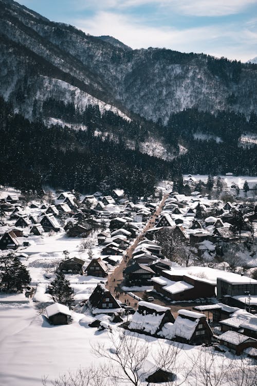 무료 겨울 눈 아래 전통 가쇼즈쿠리 주택이 있는 시라카와고 마을의 그림 같은 눈 덮인 풍경. 스톡 사진