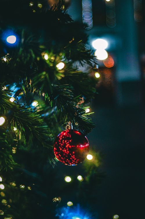 Free Close-up of a Christmas tree with a red ornament and glowing lights, perfect for holiday season decorations. Stock Photo