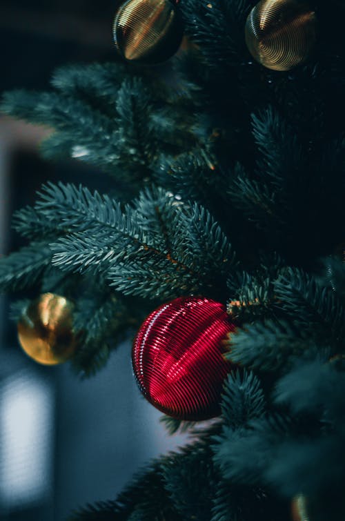 A Christmas Ball Hanging on a Christmas Tree