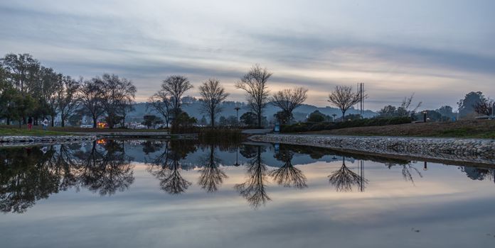 Calm reflections of trees at sunset over a tranquil park pond.