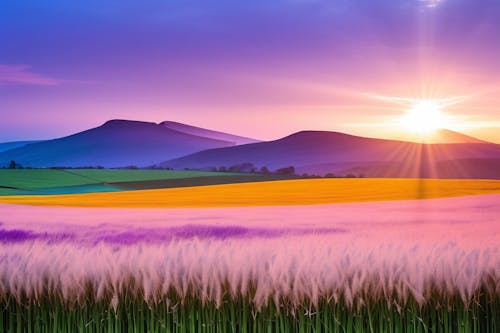 Free stock photo of beautiful, countryside, cropland