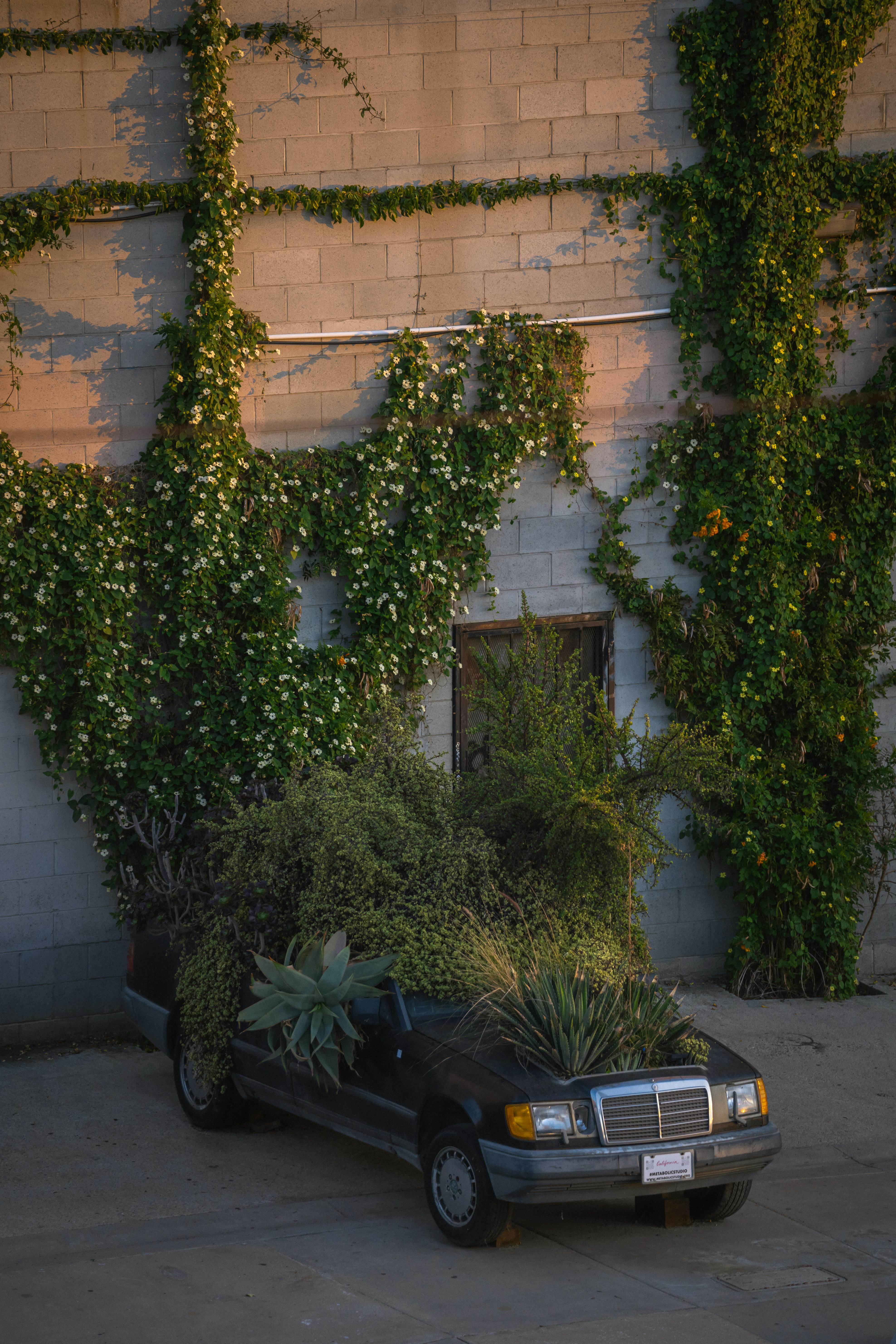 car planter