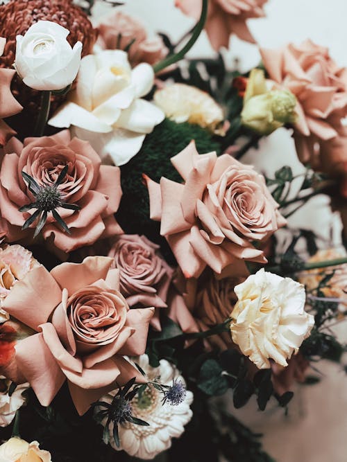 Beautiful Pink Flowers in Close-up Photography