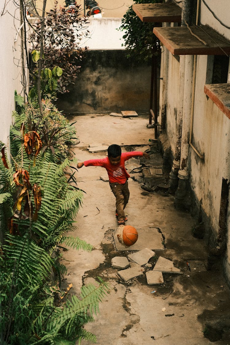 Little Boy Playing A Ball On Backyard Of A House