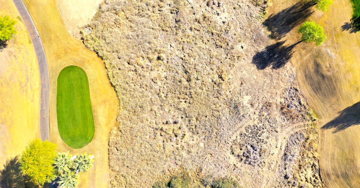 RBC Canadian Open 2025: Leaderboard Updates from TPC Toronto