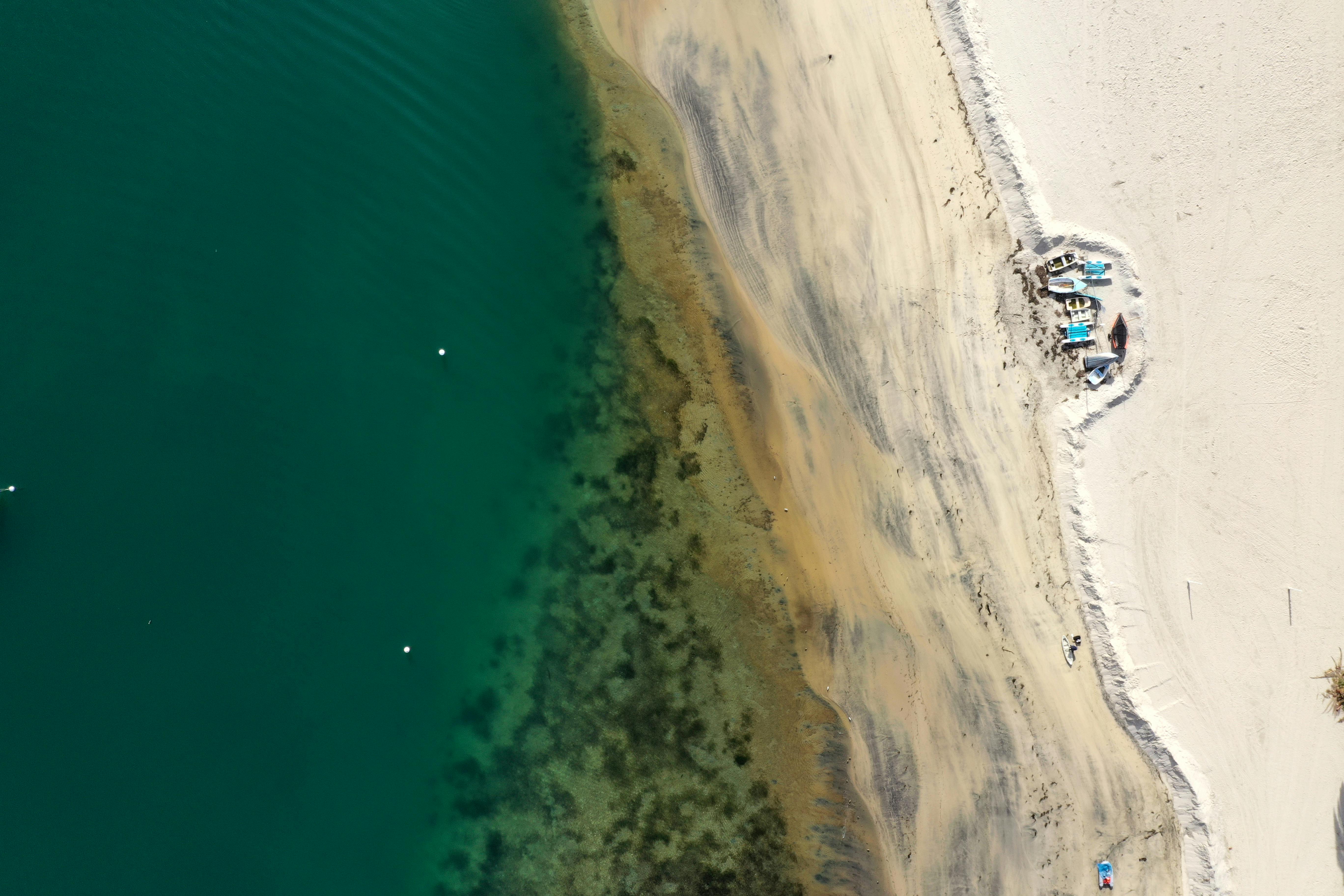 Is gout curable naturally?