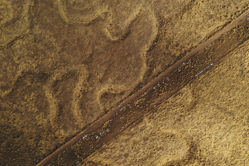 Free Drone shot capturing the dry, barren landscapes near Halleck, Nevada. Stock Photo