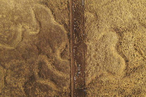 Бесплатное стоковое фото с Аэрофотосъемка, вид сверху, засуха