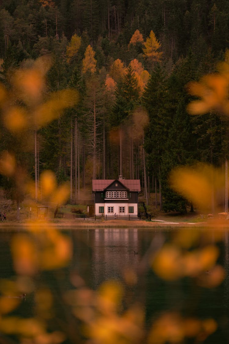 House On Lake Bank Near Forest