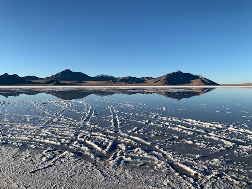 Frosty Surface of a Lake During Winter