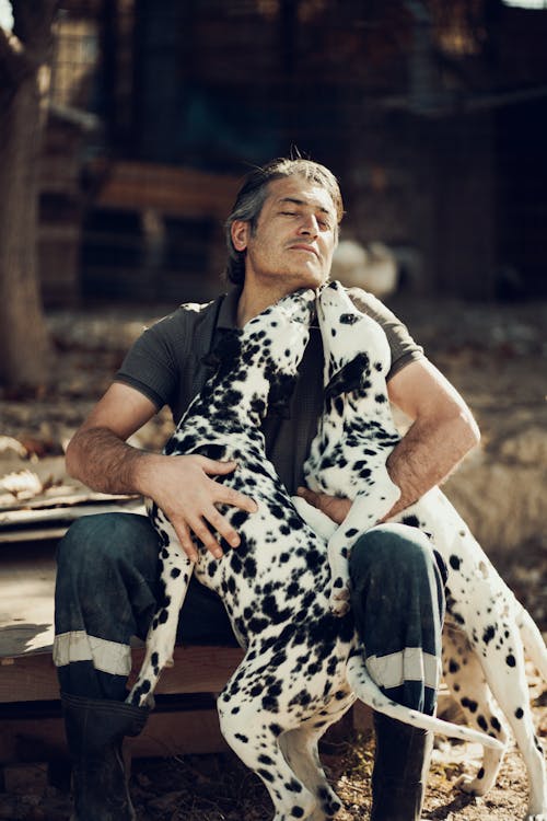 A Man Playing with His Dalmatian Dogs