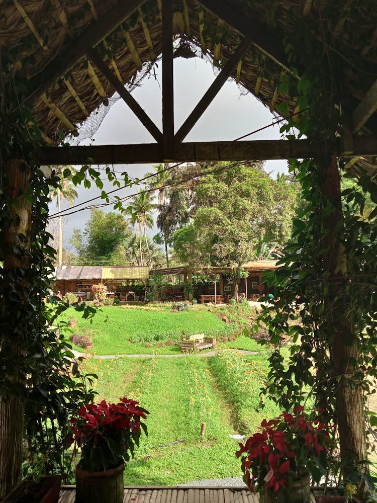 Yard Seen From House Porch