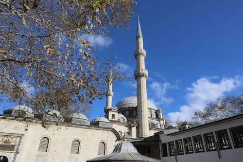 Mosque with Minarets