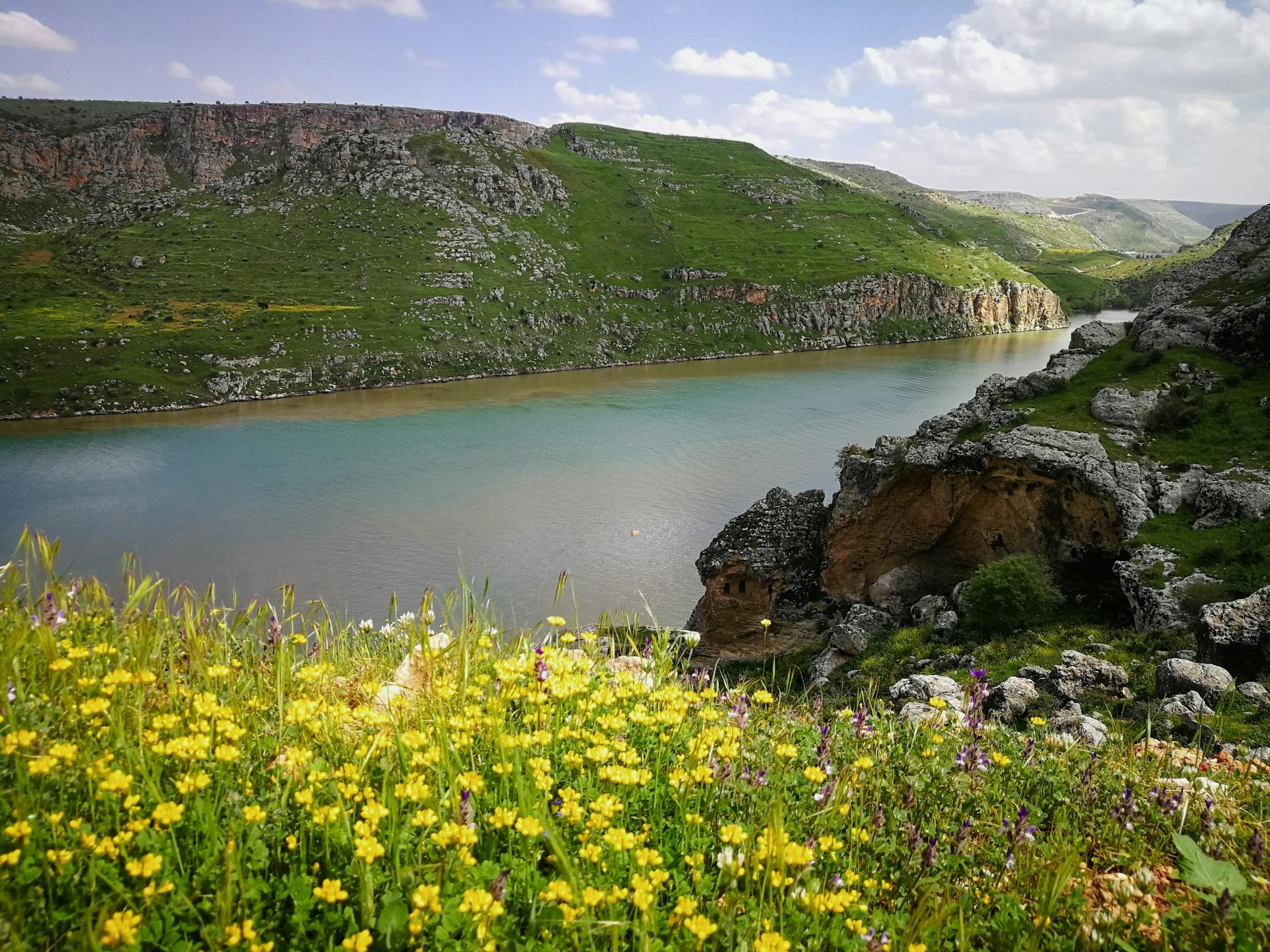 Beautiful spring landscape featuring a serene river in a lush, rocky valley with colorful wildflowers in bloom.