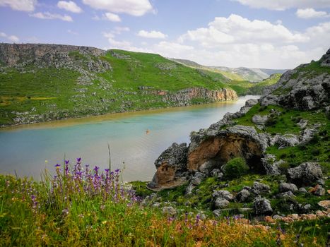Explore the stunning landscape of a river flowing through rocky cliffs, adorned with wildflowers and lush greenery.