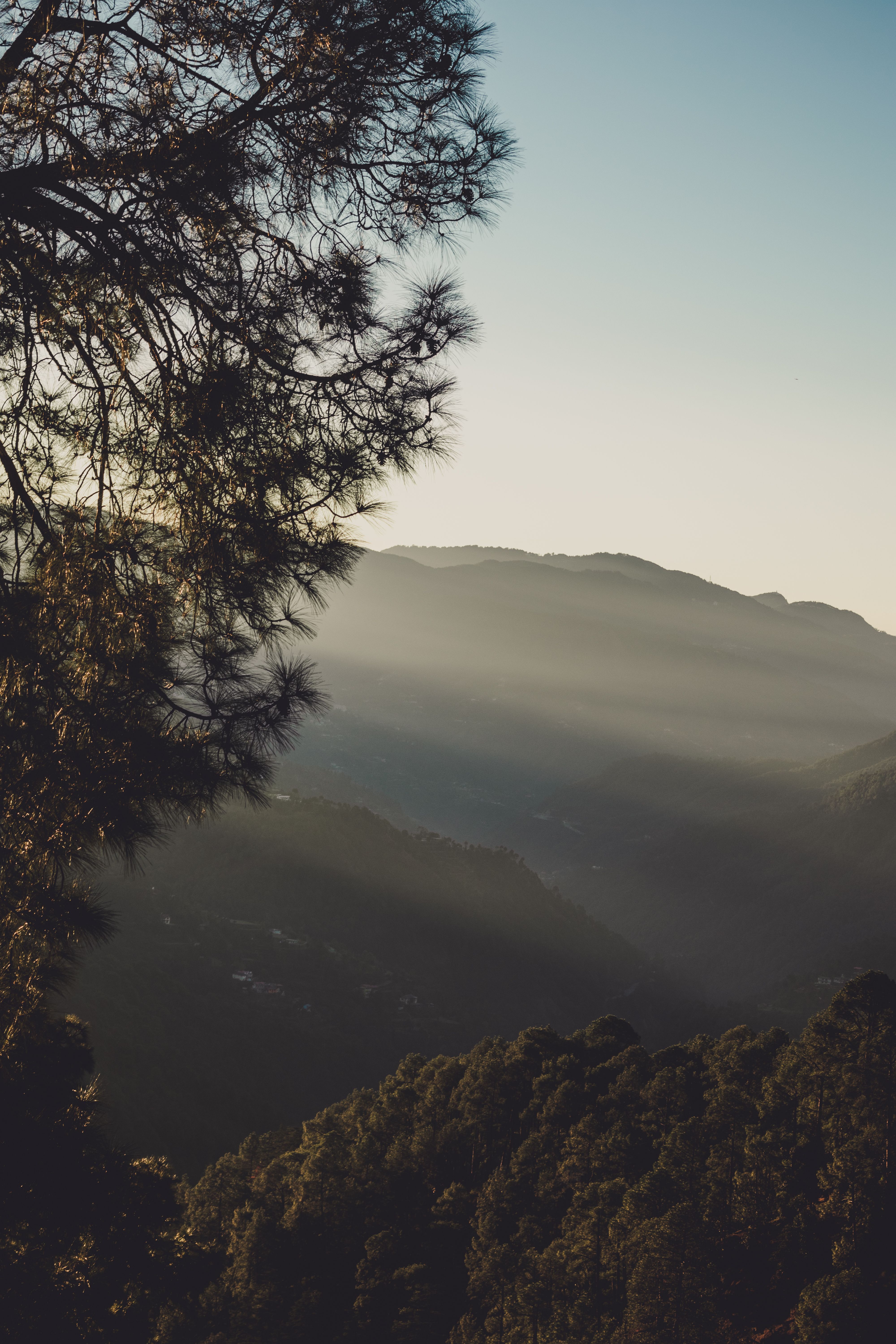 Serene landscape featuring misty mountains and pine trees in Shimla, Himachal Pradesh at dawn.