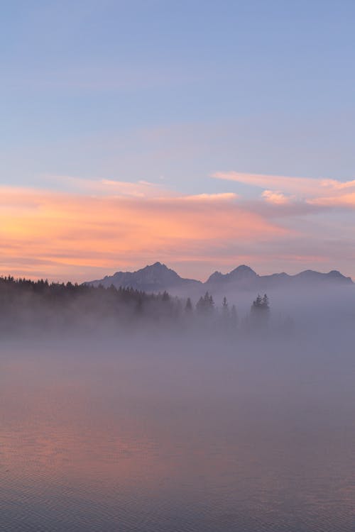 Foto d'estoc gratuïta de a l'aire lliure, aigua, alba